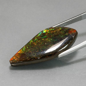 Ammolita multicolorido natural 19,86ct, forma extravagante, opaco