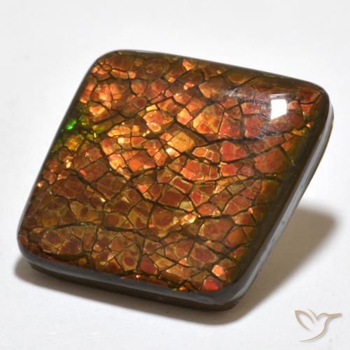amolita Multicolorido Natural 20.34ct, Chique, Opaco