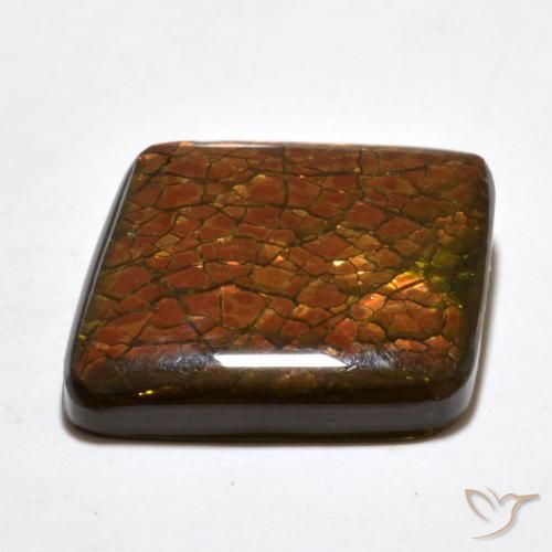 amolita Multicolorido Natural 20.34ct, Chique, Opaco