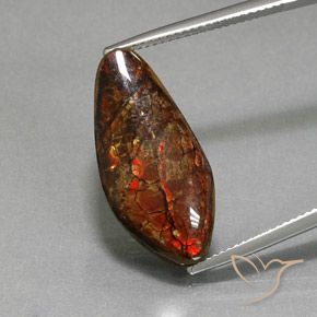 11.37ct Natural Multicolorido amolita, Chique, Opaco
