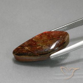 amolita Multicolorido Natural 11.37ct, Chique, Opaco