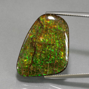 Ammolita multicolorido natural 21,28ct, forma extravagante, opaco