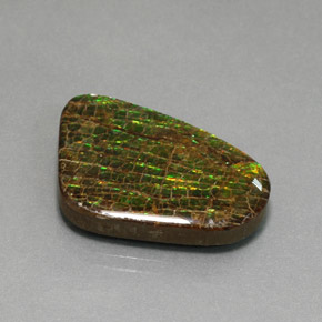 Ammolita multicolorido natural 21,28ct, forma extravagante, opaco