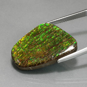 Ammolita multicolorido natural 21,28ct, forma extravagante, opaco
