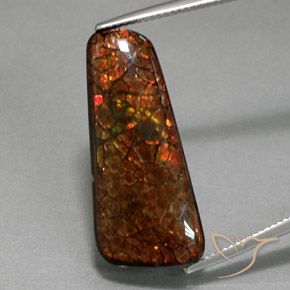 18.38ct Natural Multicolorido amolita, Chique, Opaco