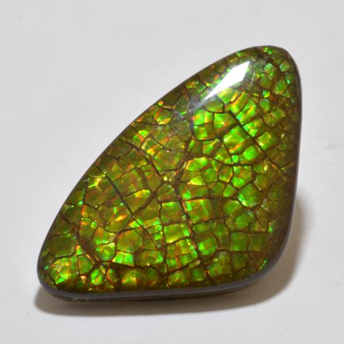 Amolita Multicolorido Natural 17.80ct, Trilhão, Opaco