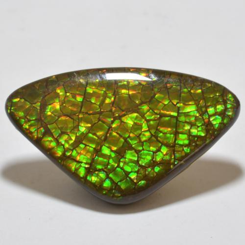 Amolita Multicolorido Natural 17.80ct, Trilhão, Opaco