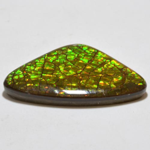 Amolita Multicolorido Natural 17.80ct, Trilhão, Opaco