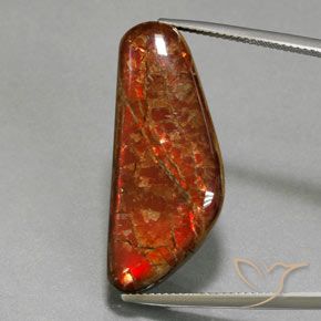 17.60ct Natural Multicolorido amolita, Chique, Opaco