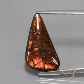 Ammolita multicolorido natural 8,81ct, forma extravagante, opaco