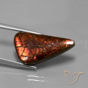 Ammolita multicolorido natural 8,81ct, forma extravagante, opaco