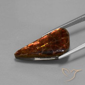 Ammolita multicolorido natural 8,81ct, forma extravagante, opaco