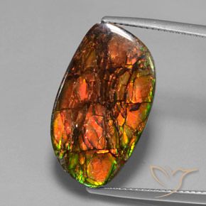 13.27ct Natural Multicolorido amolita, Chique, Opaco