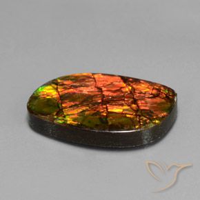 amolita Multicolorido Natural 13.27ct, Chique, Opaco