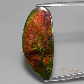 12.10ct Natural Multicolorido amolita, Chique, Opaco