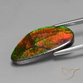 amolita Multicolorido Natural 12.10ct, Chique, Opaco