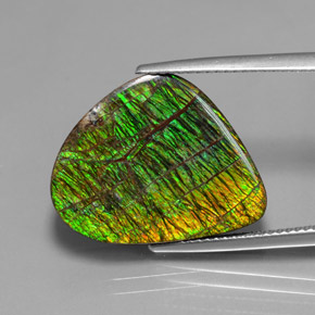 Ammolita multicolorido natural 12,97ct, forma extravagante, opaco