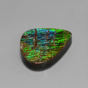 Ammolita multicolorido natural 12,97ct, forma extravagante, opaco