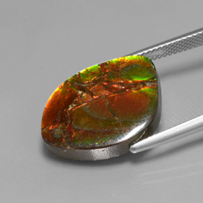 Ammolita multicolorido natural 13,21ct, forma extravagante, opaco