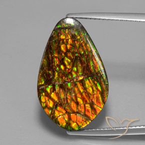 14.79ct Natural Multicolorido amolita, Chique, Opaco