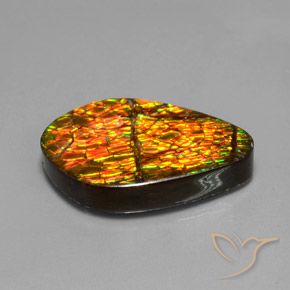 amolita Multicolorido Natural 14.79ct, Chique, Opaco