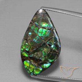 15.28ct Natural Multicolorido amolita, Chique, Opaco