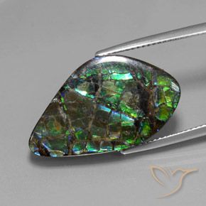 amolita Multicolorido Natural 15.28ct, Chique, Opaco