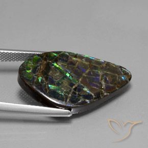 amolita Multicolorido Natural 15.28ct, Chique, Opaco