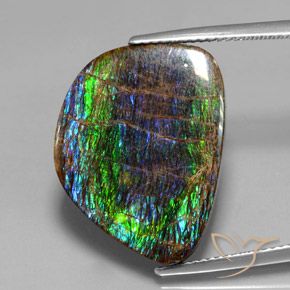 15.82ct Natural Multicolorido amolita, Chique, Opaco