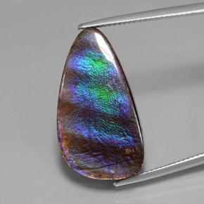 Ammolita multicolorido natural 15,59ct, forma extravagante, opaco