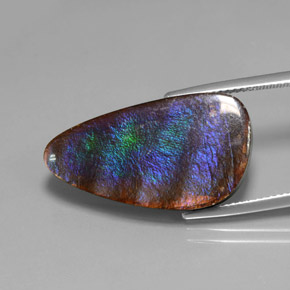 Ammolita multicolorido natural 15,59ct, forma extravagante, opaco