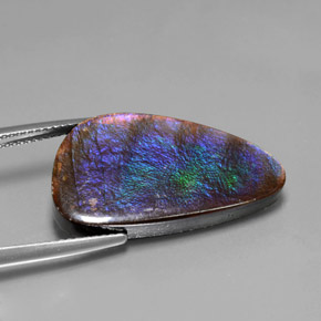 Ammolita multicolorido natural 15,59ct, forma extravagante, opaco