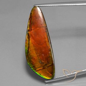 18.60ct Natural Multicolorido amolita, Chique, Opaco