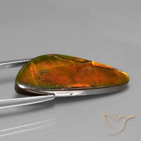 amolita Multicolorido Natural 18.60ct, Chique, Opaco