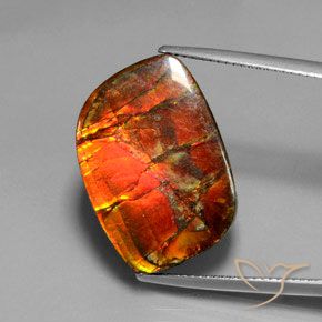 17.18ct Natural Multicolorido amolita, Chique, Opaco