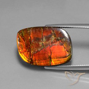 amolita Multicolorido Natural 17.18ct, Chique, Opaco