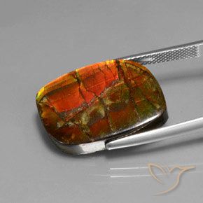 amolita Multicolorido Natural 17.18ct, Chique, Opaco