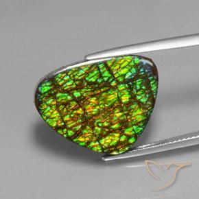 19.08ct Natural Multicolorido amolita, Trilhão, Opaco