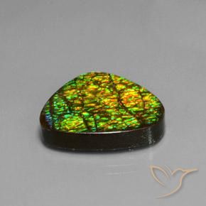 amolita Multicolorido Natural 19.08ct, Trilhão, Opaco
