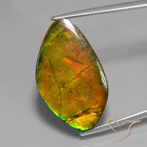 15.41ct Natural Multicolorido amolita, Chique, Opaco