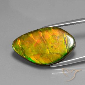 amolita Multicolorido Natural 15.41ct, Chique, Opaco