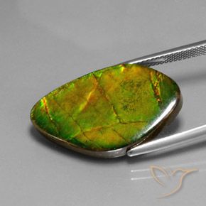 amolita Multicolorido Natural 15.41ct, Chique, Opaco
