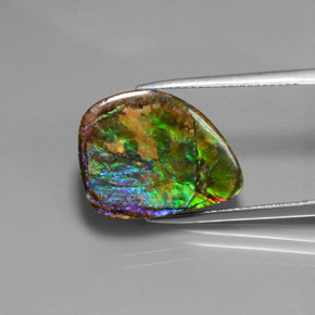 Amolita Multicolorido Natural 10.38ct, Forma extravagante, Opaco