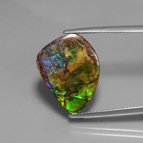 Amolita Multicolorido Natural 10.38ct, Forma extravagante, Opaco