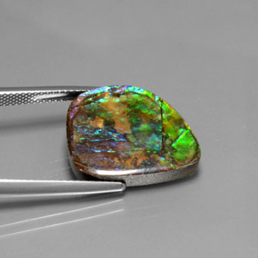 Amolita Multicolorido Natural 10.38ct, Forma extravagante, Opaco
