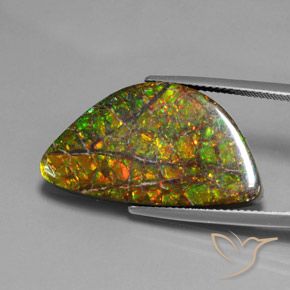 17.66ct Natural Multicolorido amolita, Chique, Opaco