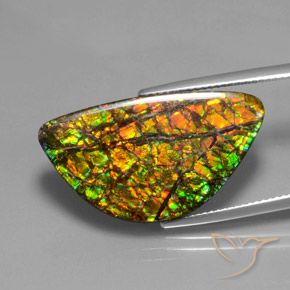 amolita Multicolorido Natural 17.66ct, Chique, Opaco