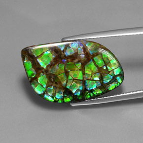 Amolita Multicolorido Natural 16.96ct, Forma extravagante, Opaco