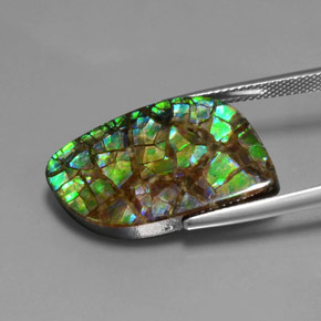 Amolita Multicolorido Natural 16.96ct, Forma extravagante, Opaco