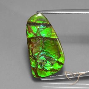 12.43ct Natural Multicolorido amolita, Chique, Opaco